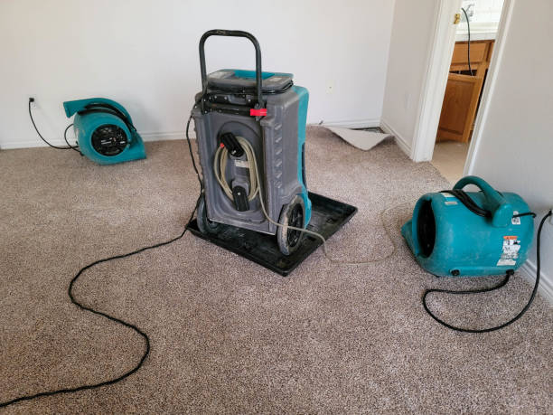 Best 24-hour water damage restoration  in Country Clu, CA