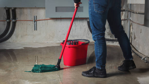 Water damage restoration mold remediation in Country Clu, CA