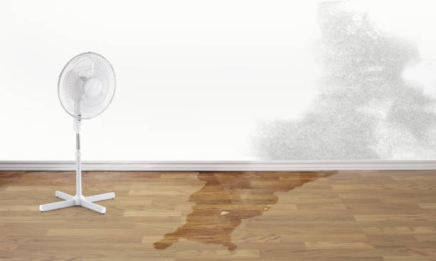 Trusted Country Clu, CA Water damage restoration Experts