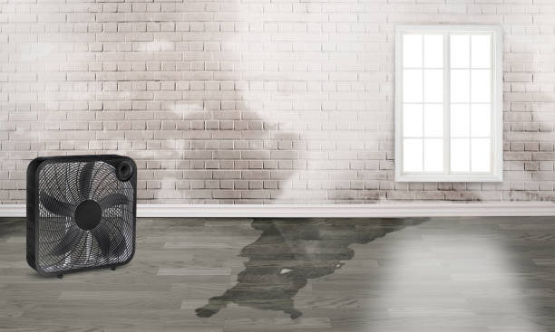 Best Water damage restoration near me  in Country Clu, CA