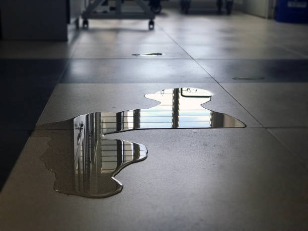 Best Emergency water damage restoration  in Country Clu, CA