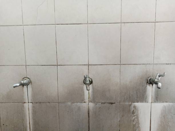 Best Professional water damage repair  in Country Clu, CA