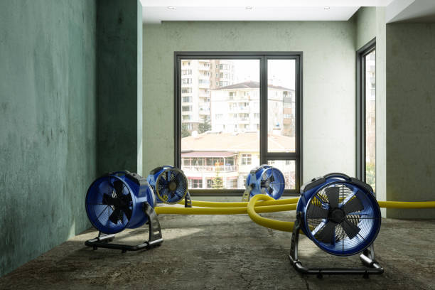 Best Commercial water damage restoration  in Country Clu, CA
