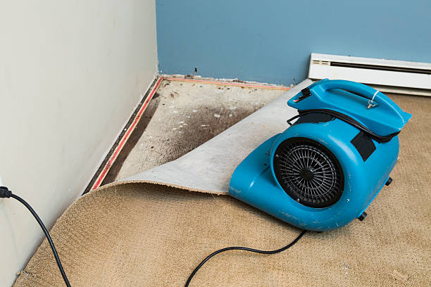 Best Carpet water damage restoration  in Country Clu, CA